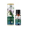Huile essentielle origan vert bio Mességué 5ml complément alimentaire