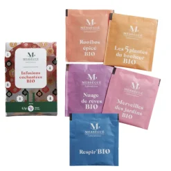 Infusions Noël Mésségué x5 (2 modèles)