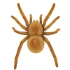 Insecte animé farce et attrape L10cm (3 modèles) < Gifi Online