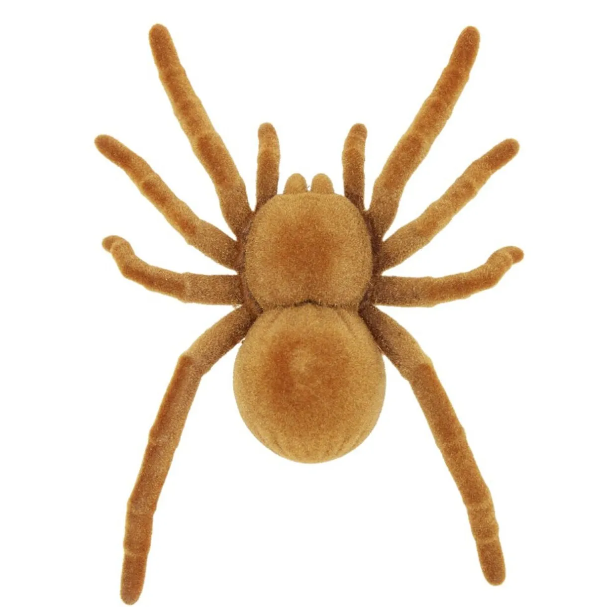 Insecte animé farce et attrape L10cm (3 modèles) < Gifi Online