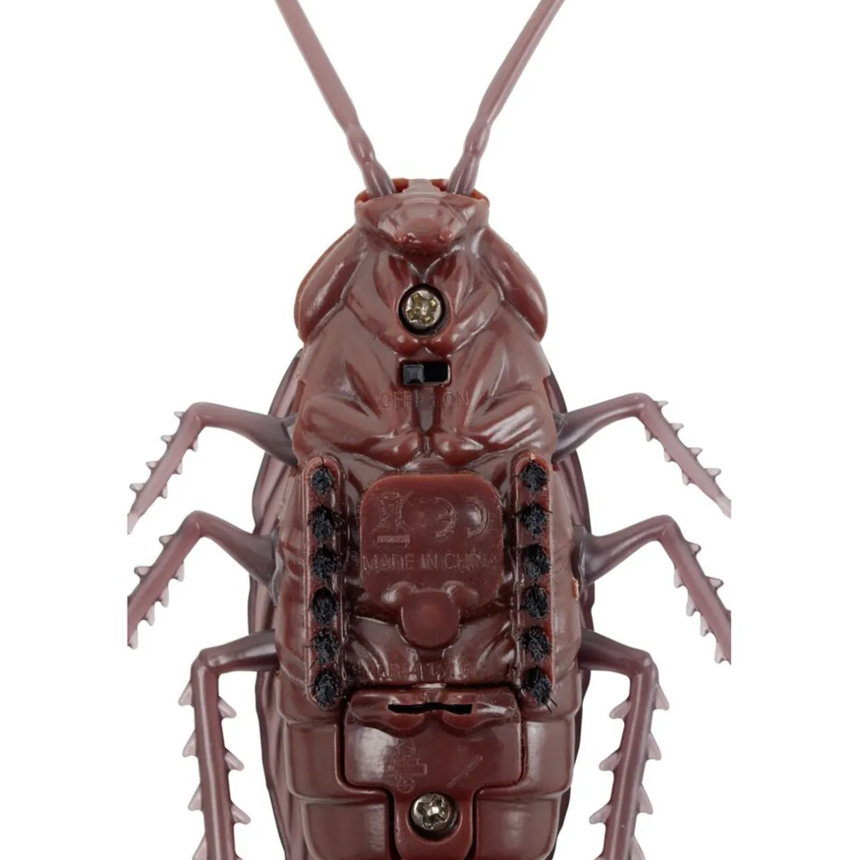 Insecte animé farce et attrape L10cm (3 modèles) < Gifi Online