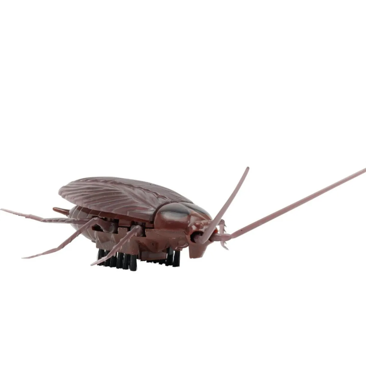 Insecte animé farce et attrape L10cm (3 modèles) < Gifi Online