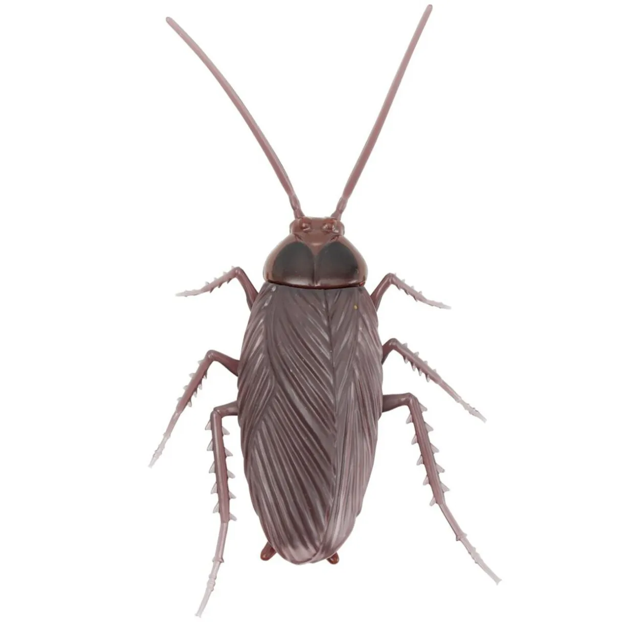 Insecte animé farce et attrape L10cm (3 modèles) < Gifi Online