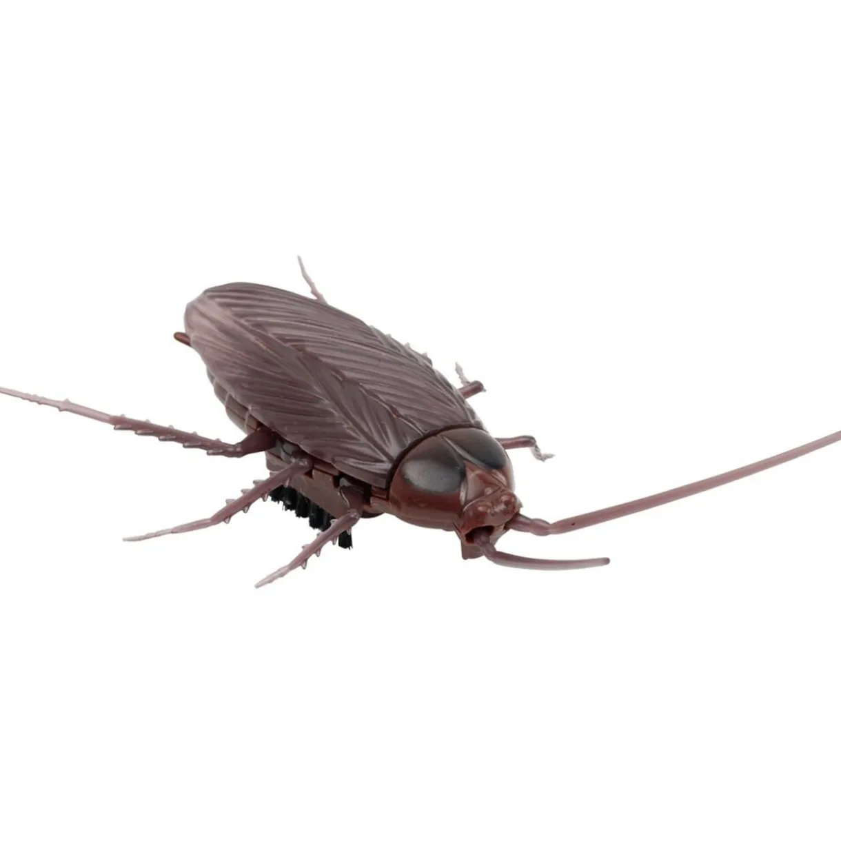 Insecte animé farce et attrape L10cm (3 modèles) < Gifi Online