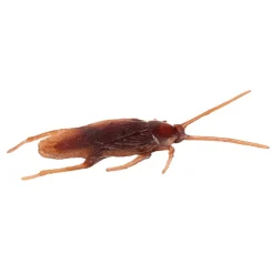 Insecte factice x12 farce et attrape plastique marron < Gifi Sale