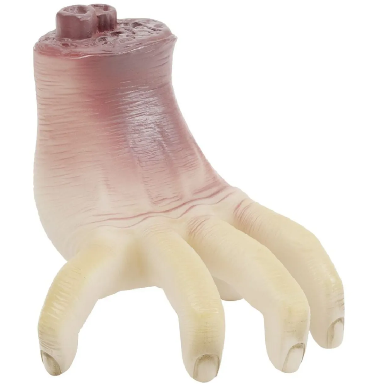Jouet pour chien Halloween main coupée < Gifi Sale