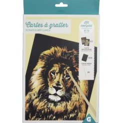 Kit créatif cartes à gratter - 2 modèles