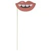 Kit photobooth 8 personnes thème candy < Gifi Online