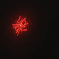 Laser pour chien ou chat avec 5 motifs différents