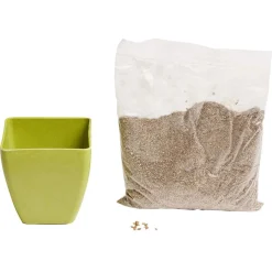 Le kit du mini jardinier pots en bambou substrat et graines < Gifi Hot