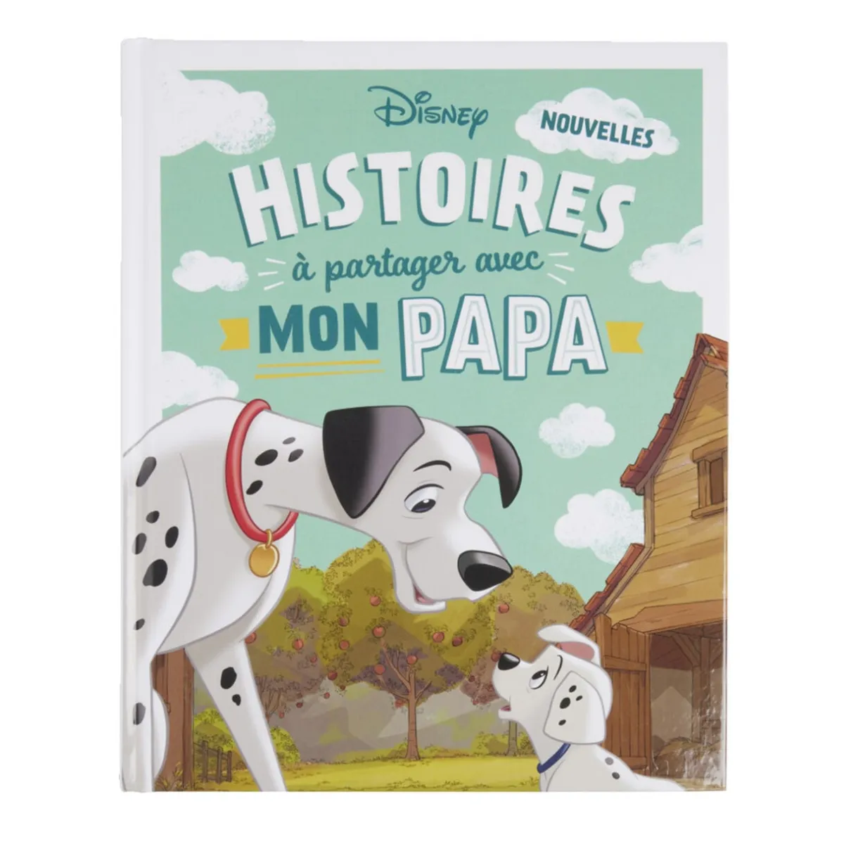 Livre Disney - Histoires à partager avec mon Papa - 80 pages < Gifi