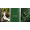 Lot de 3 affiches nature papier vert et noir 10x15cm < Gifi Online