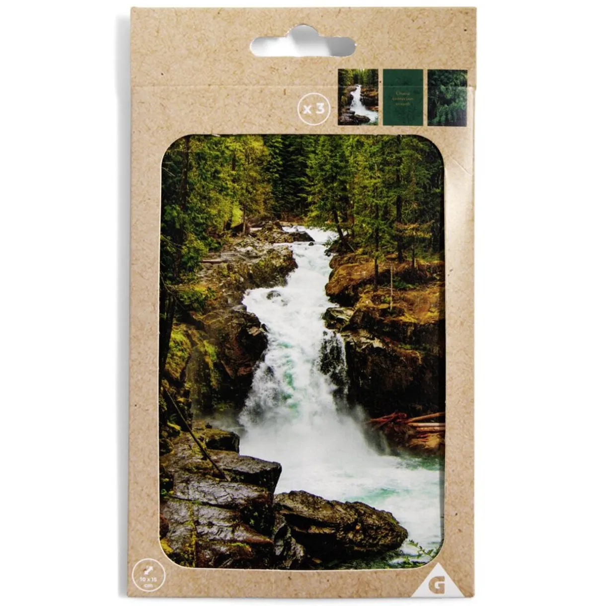 Lot de 3 affiches nature papier vert et noir 10x15cm < Gifi Online