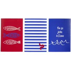 Lot de 3 affiches papier rouge et bleu 10x15cm