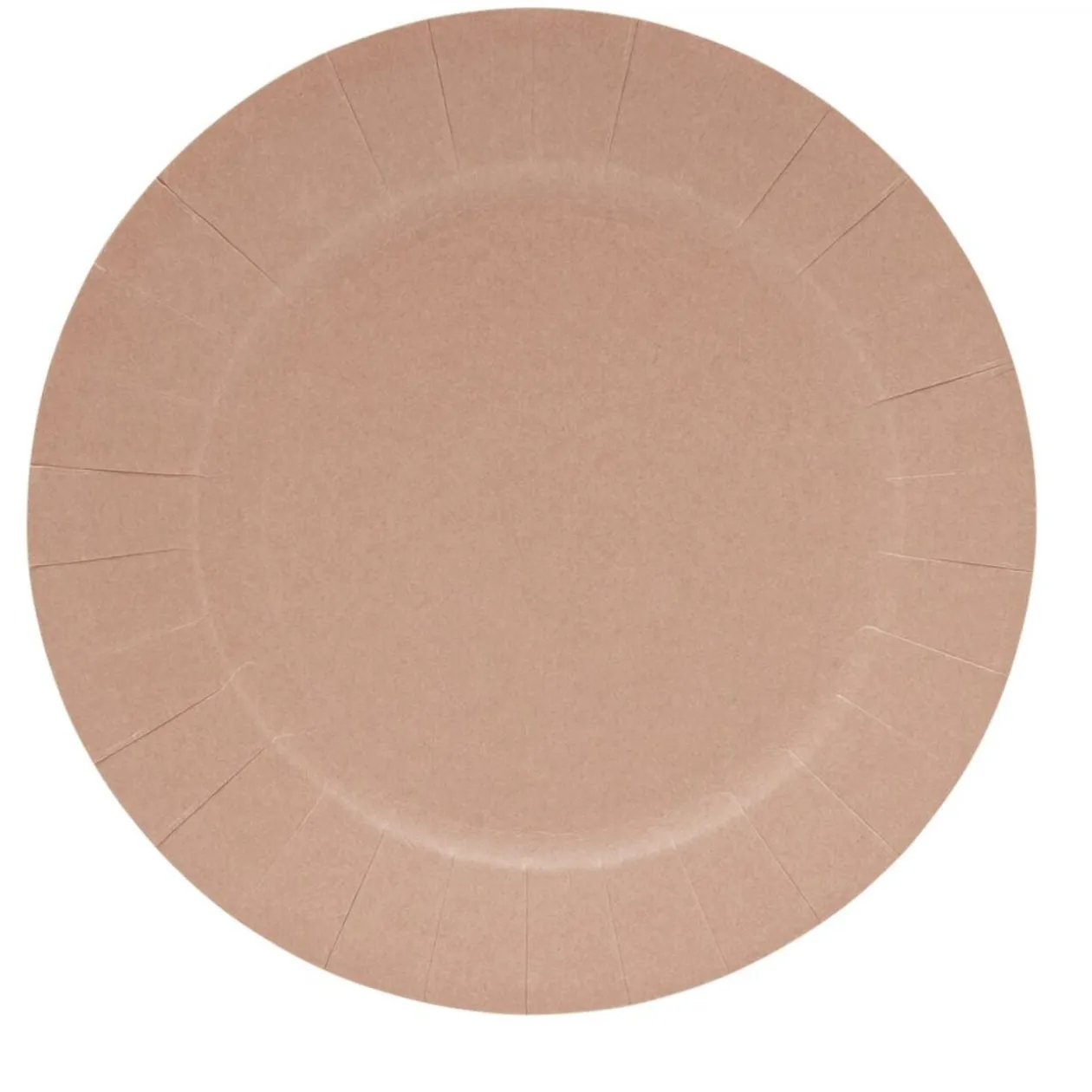Lot de 10 assiettes en carton Ø18cm rose