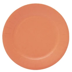 Lot de 10 assiettes en carton orange Ø18cm