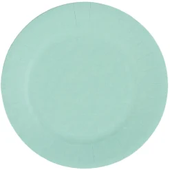 Lot de 10 assiettes en carton vert d'eau Ø18 cm < Gifi Outlet