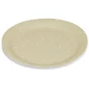 Lot de 8 assiettes motif dinosaures carton Ø23cm