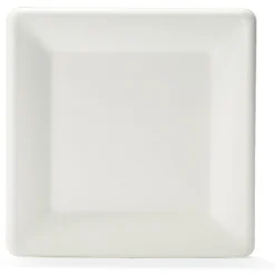 Lot de 12 assiettes plates carrées en canne à sucre < Gifi New