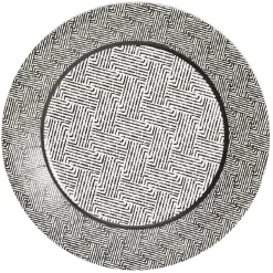 Lot de 10 assiettes plates rondes carton motif géométrique blanc et noir Ø23cm