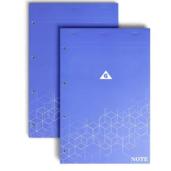 Lot de 2 bloc-notes perforés à petits carreaux A4 - 160 pages < Gifi Online