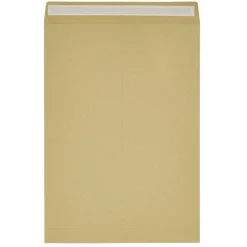 Lot de 25 enveloppes kraft avec bande auto-adhésive 22,9x32,4cm
