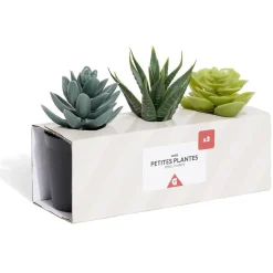 Lot de 3 plantes artificielles dans pot Ø5,8xH10cm < Gifi Outlet