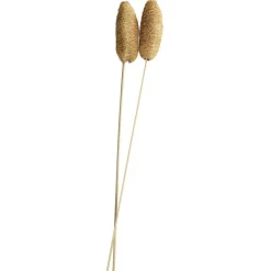 Luffa séché naturel 2 tiges H60cm < Gifi Best