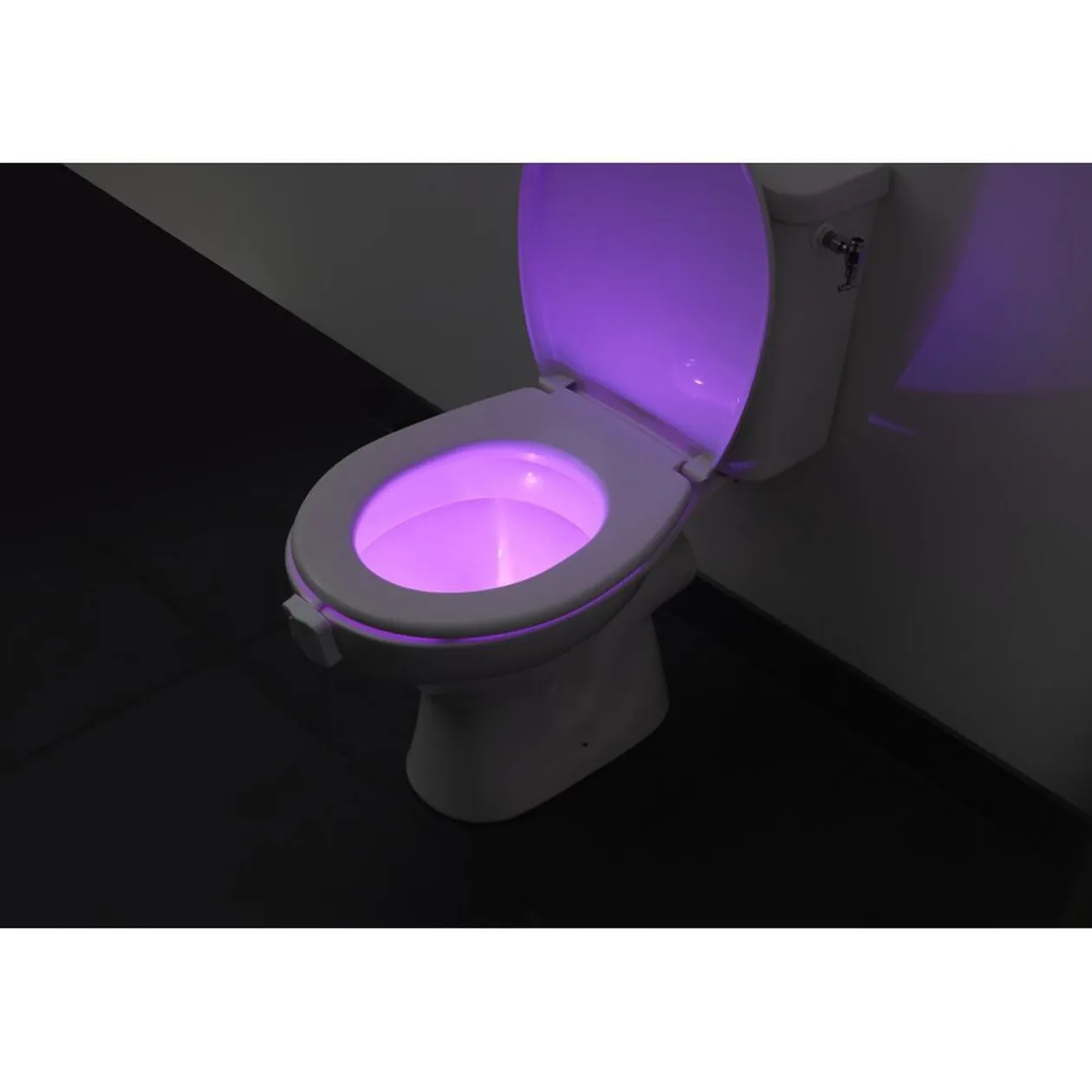 Lumière LED pour WC