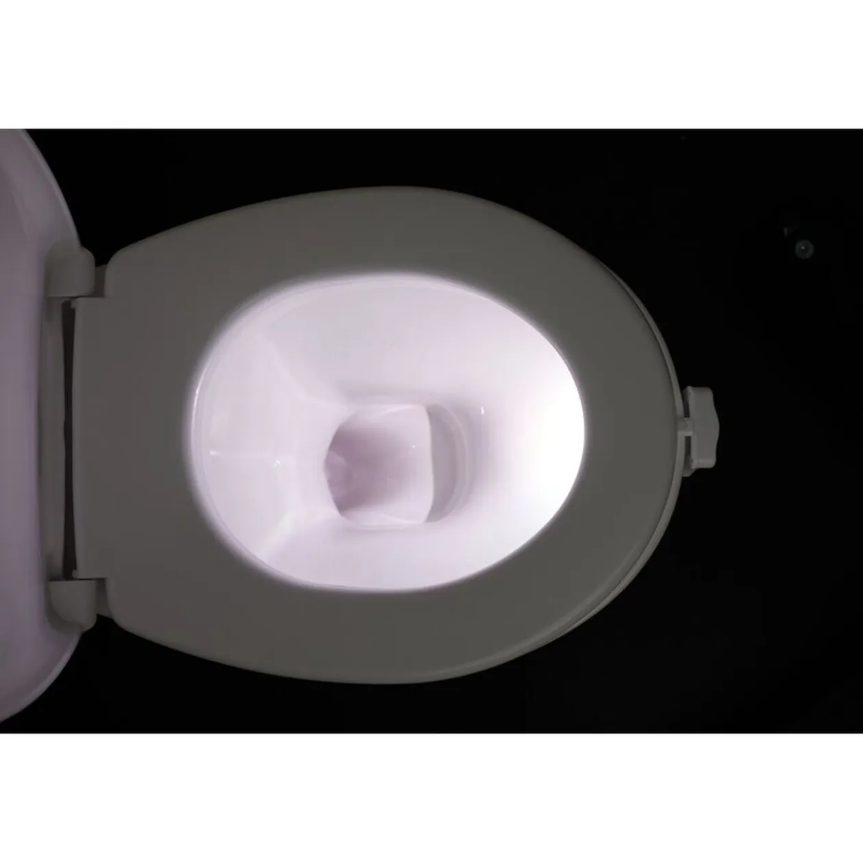 Lumière LED pour WC