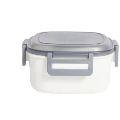 Lunch box avec pain de glace 2 compartiments 19,5x17,3xH9,8cm < Gifi
