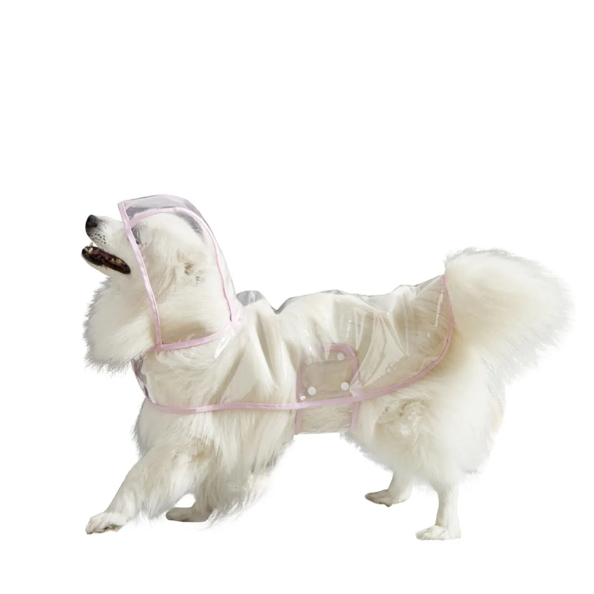 Manteau de pluie imperméable transparent pour chien - Taille S < Gifi Discount