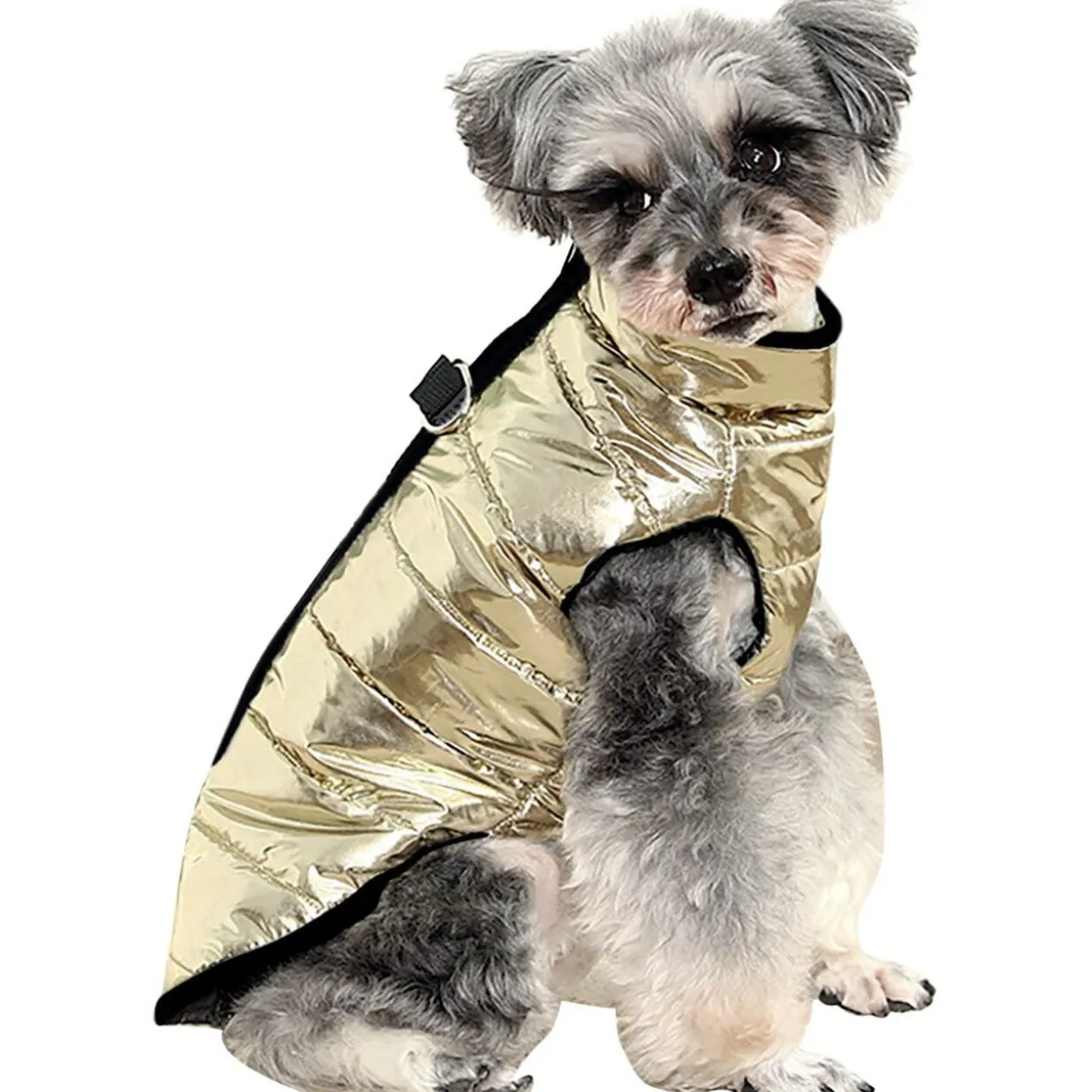 Manteau pour chien doudoune dorée Taille S