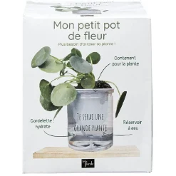 Mon petit pot de fleur