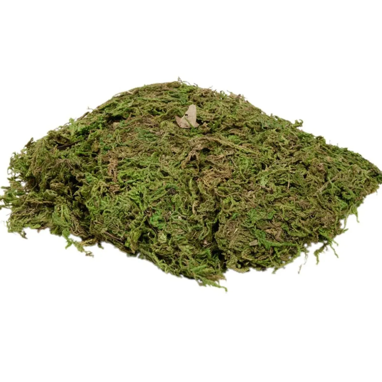 Mousse pour crèche de Noël vert 50g