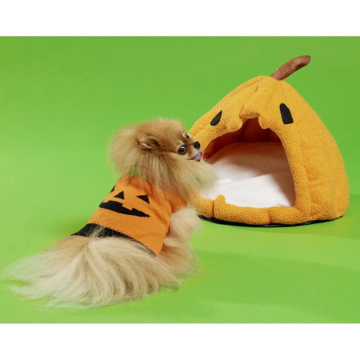 Niche animaux forme citrouille orange Ø38xH34cm < Gifi Best
