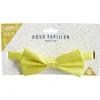 Noeud papillon flashy