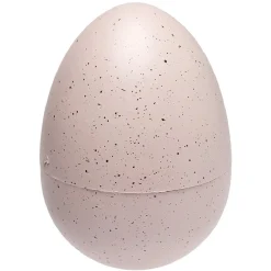 oeuf de dinosaure magique