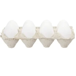 oeuf de Pâques à décorer x8