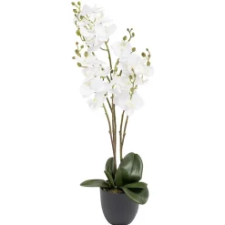 Orchidée artificielle blanc Ø40xH70cm