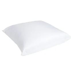 Oreiller blanc 60x60cm