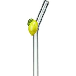 Pailles en verre transparent fantaisie fruit x4 avec goupillon (2 modèles)
