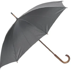Parapluie canne gris foncé
