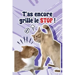 Parfum d'ambiance pour voiture senteur lavande < Gifi