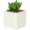Petite plante grasse artificielle pot en grès motif végétal blanc < Gifi New