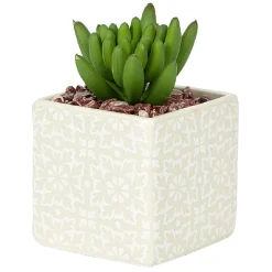 Petite plante grasse artificielle pot en grès motif végétal blanc < Gifi New
