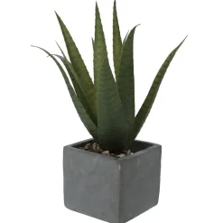 Plante artificielle aloé véra pot ciment collection Tropical < Gifi New