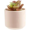 Plante artificielle avec pot céramique < Gifi Discount