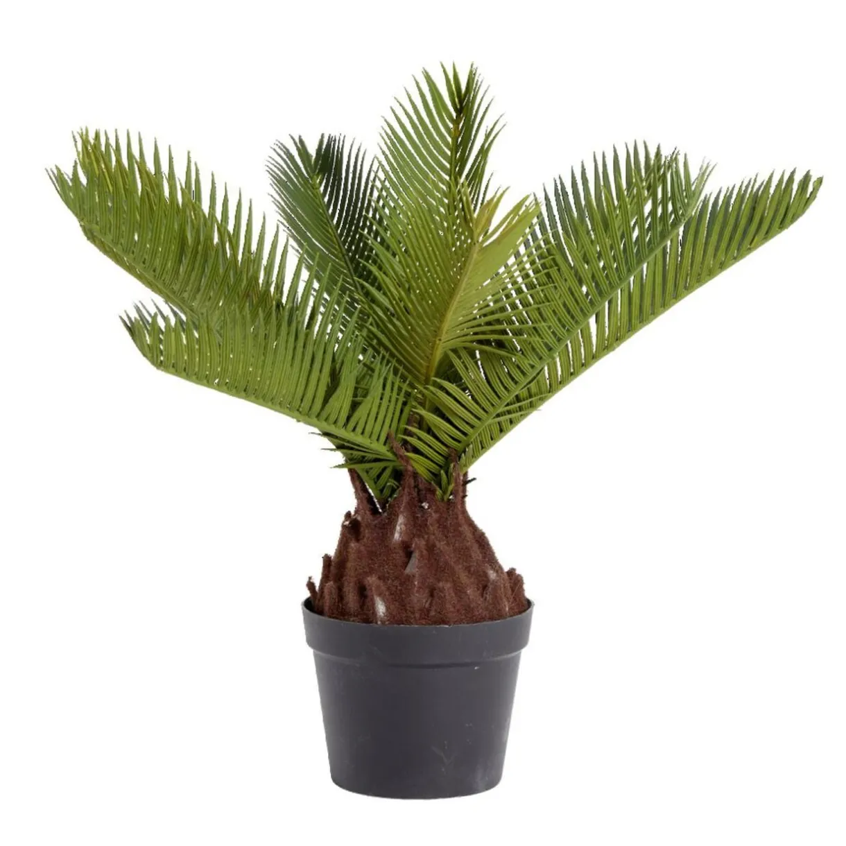 Plante artificielle cycas en pot H38cm < Gifi Discount