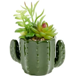 Plante artificielle dans pot forme cactus plastique vert 12x9xH17cm (2 modèles) < Gifi New